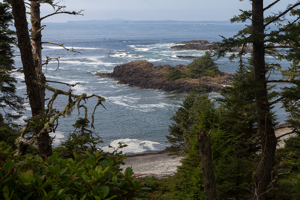 09-19 - 06.jpg - Pacific Rim National Park, Vancouver Island, BC